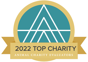 2022 ACE top charity badge