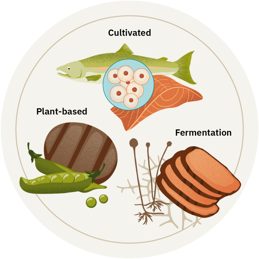 An illustration of alternative protein production methods.